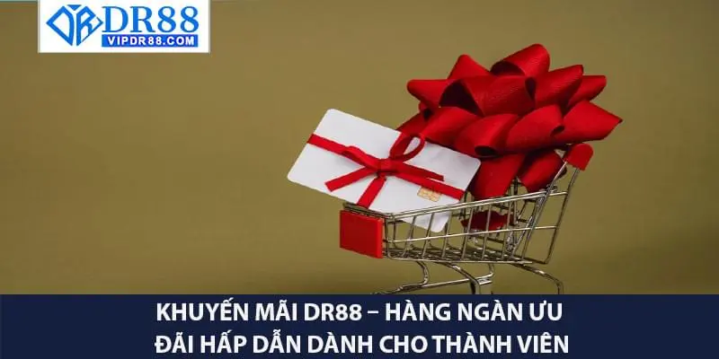 Khuyến Mãi DR88 – Hàng Ngàn Ưu Đãi Hấp Dẫn Dành Cho Thành Viên