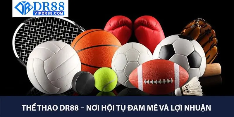 Thể Thao DR88 – Nơi Hội Tụ Đam Mê Và Lợi Nhuận